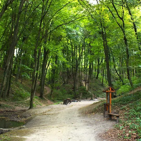 Apartment Damszarvas Vendeghaz