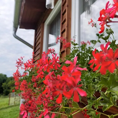 Apartamento Dámszarvas *