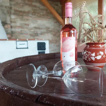 Damszarvas Vendeghaz * Ujudvar