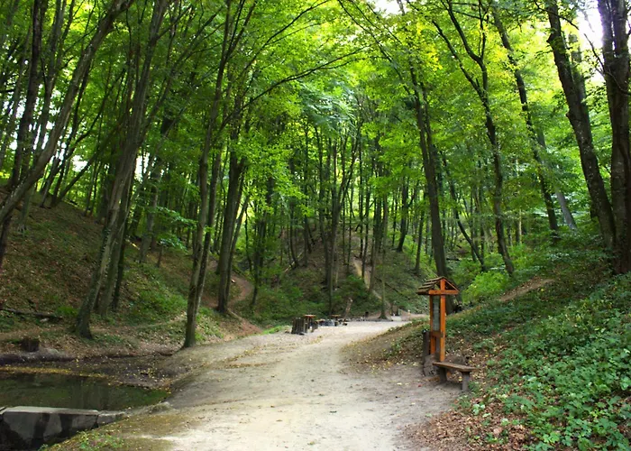 Apartament Damszarvas Vendeghaz